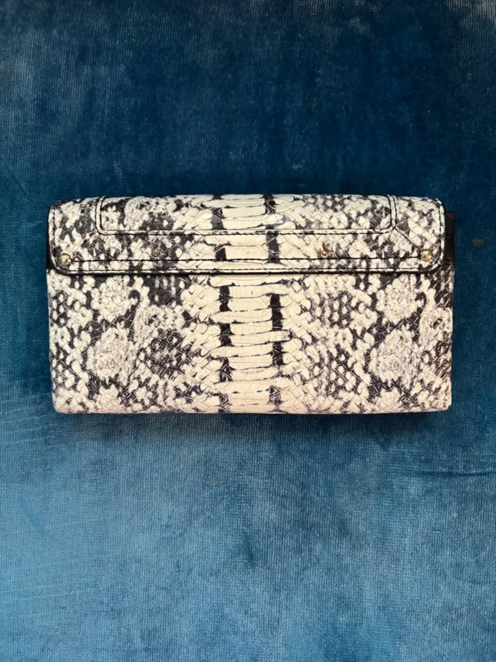 Coach "Swagger" Wallet in Python - Picture 6 of 8